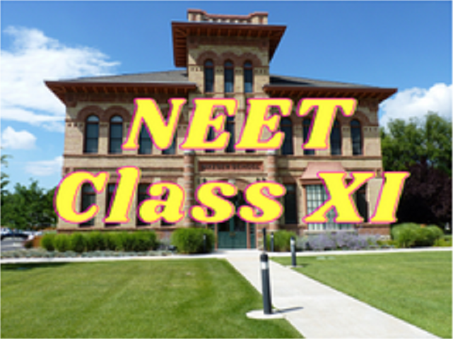 NEET (Biology, Physics, Chemistry) - Class XI